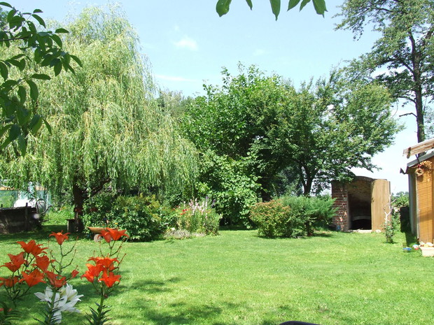 Koszenie trawnika bywa uciążliwe, ale daje dzieciom mnóstwo radości, zwłaszcza gdy mogą po nim boso biegać. Z małej gałązki wierzby płaczącej urósł spory ,,parasol" - doskonały jako schronienie w upalne dni...  a dla dzieci jest miejsce do wspinaczki i na