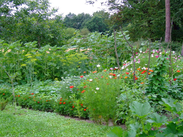 Kwiaty, warzywa, kwiaty...