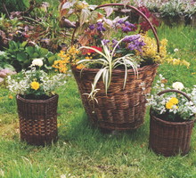 Kwietniki warto zróżnicować wielkością i poustawiać obok siebie.