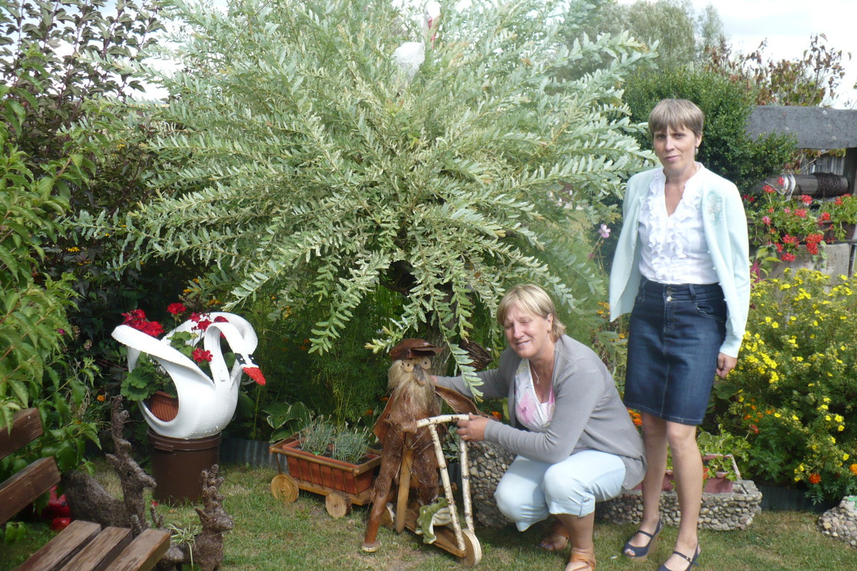 labądź ręcznie wykonany z opony przez mojego brata