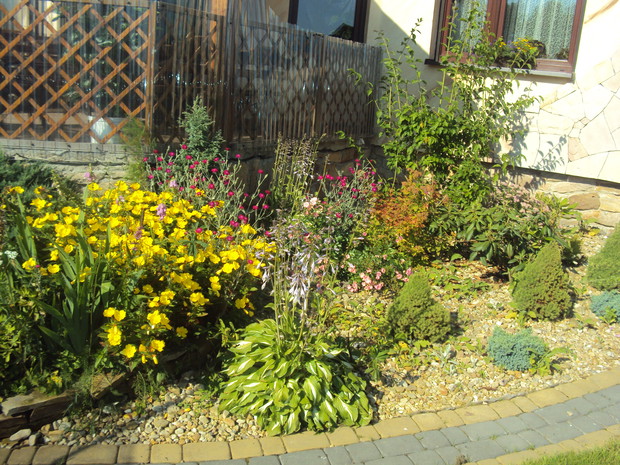 Mały skalnik przy tarasie.