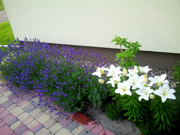 Mały skrawek, a tyle radości