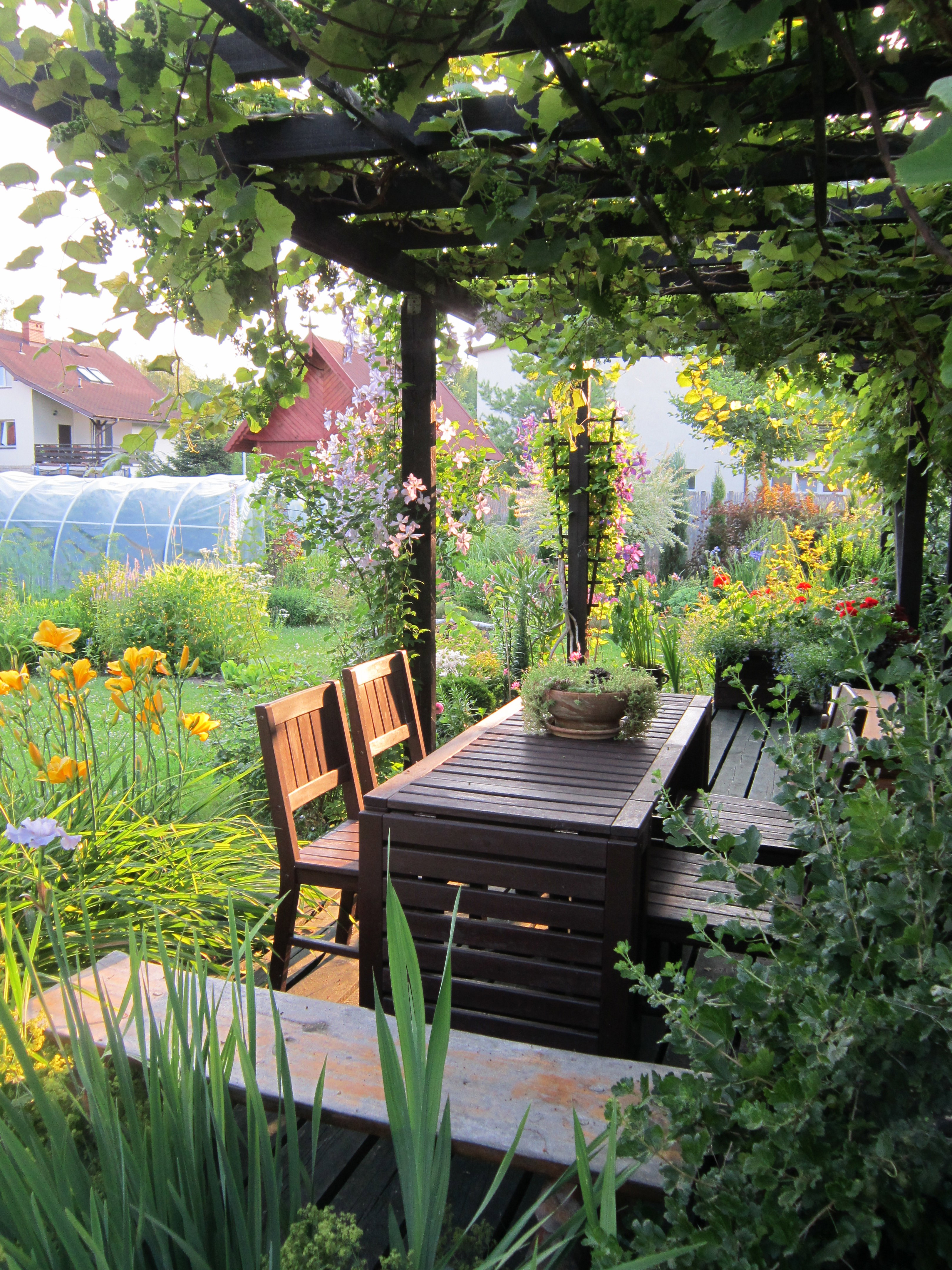 Miejsce wypoczynku w cieniu winorośli