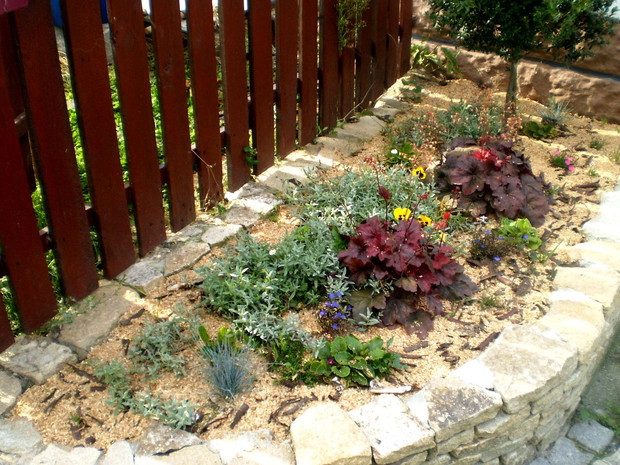 Mini rabatka przy domu