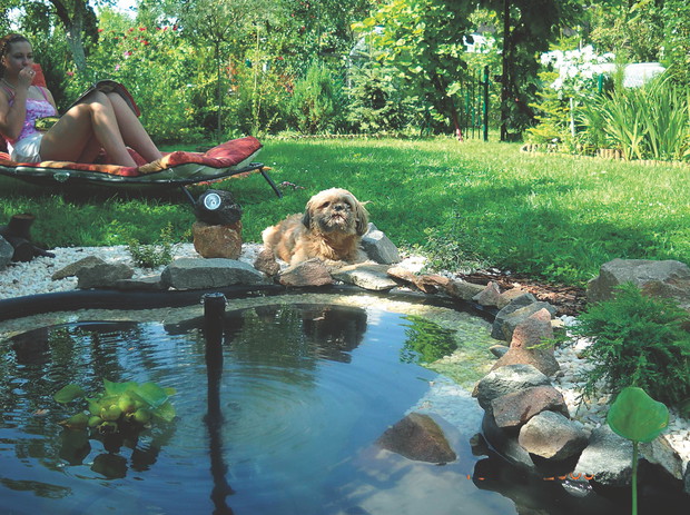 Nad szemrzącym oczkiem chętnie odpoczywam nie tylko ja, ale także nasz pies Figo.