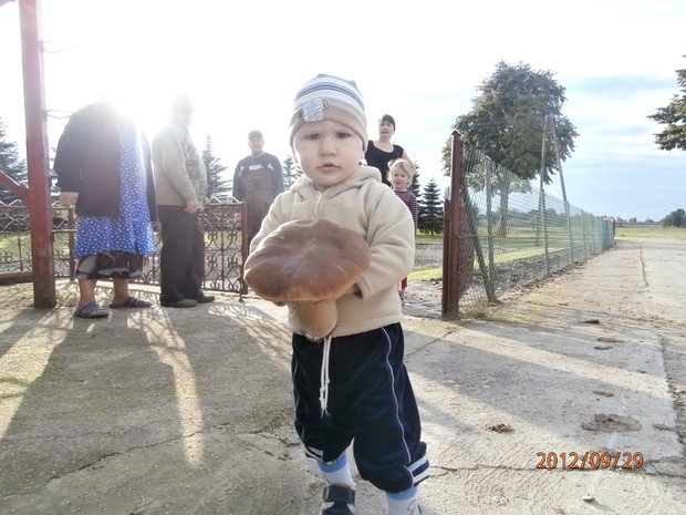 Najmłodszy Szymonek z prawdziwkiem, zerwanym spod naszej 20- letniej choinki