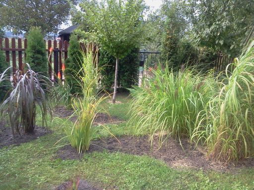 Niby wszystko skończone z nasadzeniami jeszcze tylko dosiać trawę i na wiosnę 2014 super będzie się prezentować zakątek traw ozdobnych .