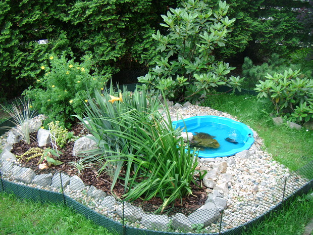 Oczko wodne wśród zieleni