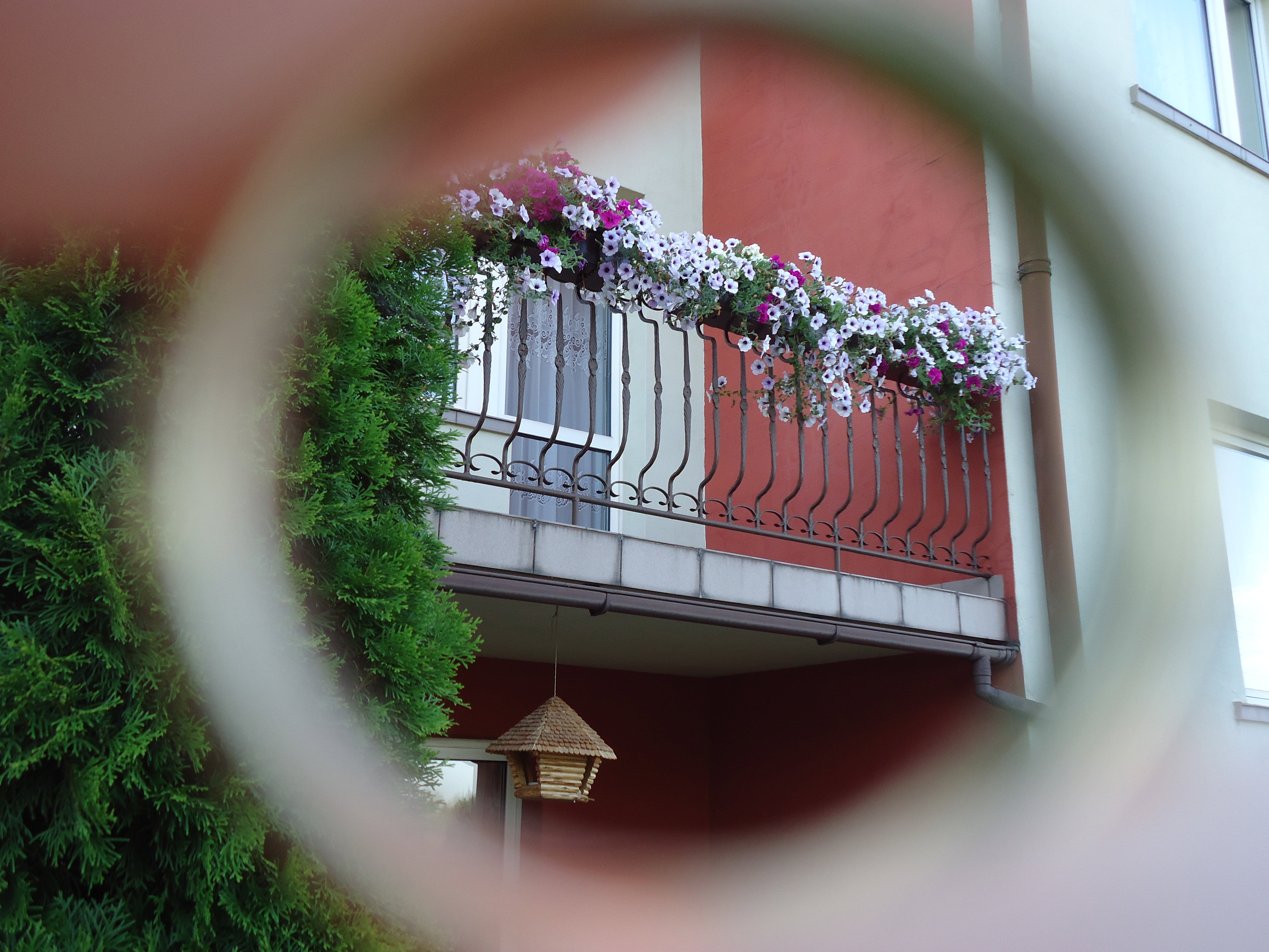 Ozdoba balkonu:)