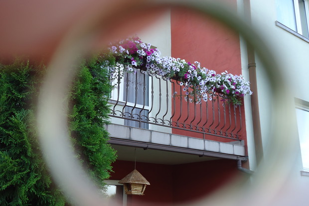 Ozdoba balkonu:)