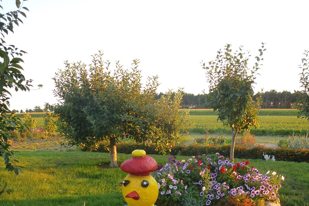 Pinokio