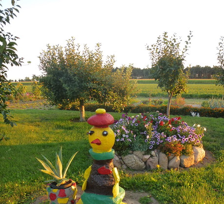 Pinokio