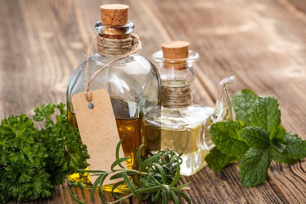 Podczas suszenia liście tracą wiele z aromatu i smaku. Zachowają je, zakonserwowane w occie lub oleju