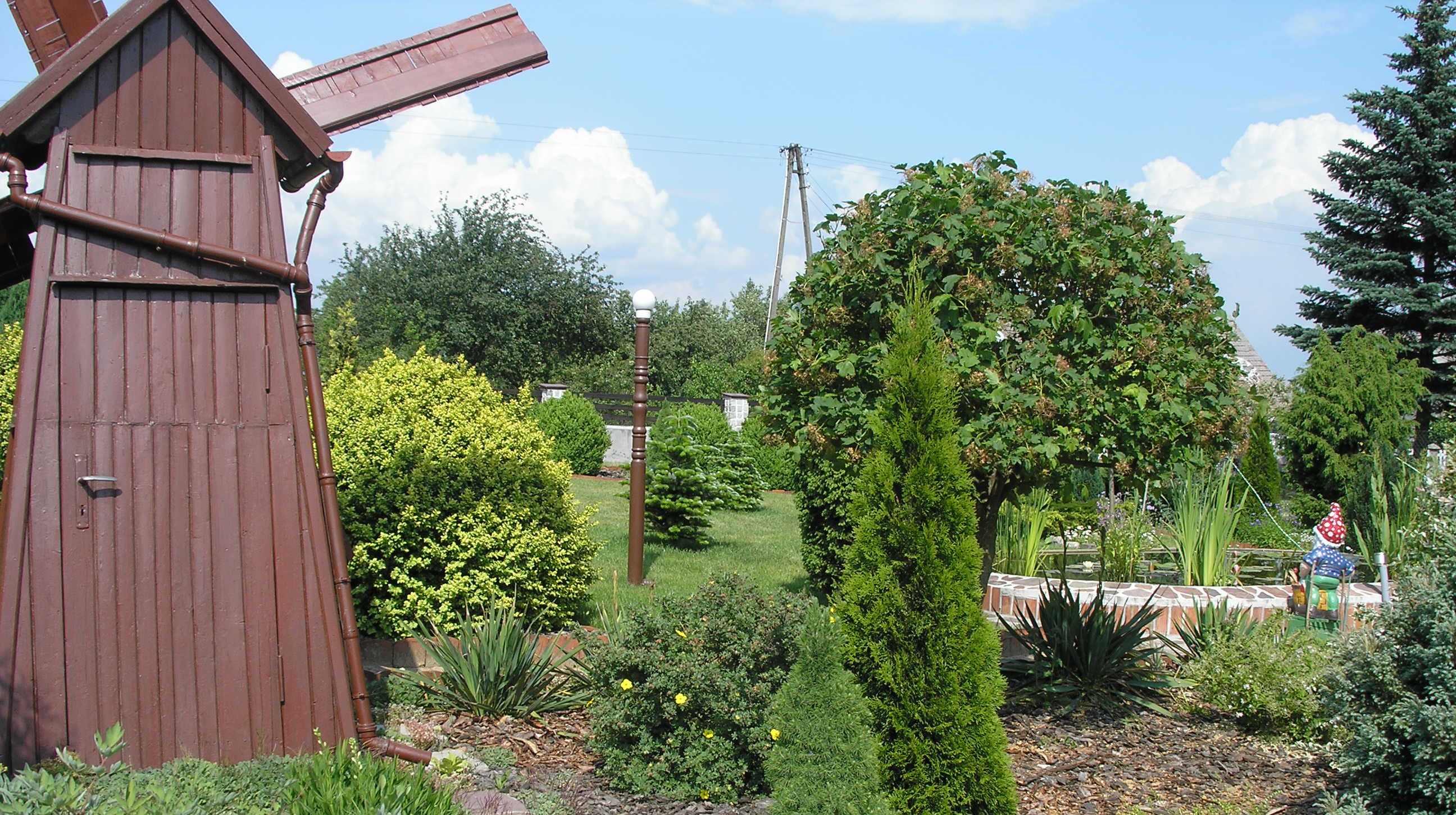 Pompa powietrzna w wiatraku dotlenia wodę w oczku wodnym.