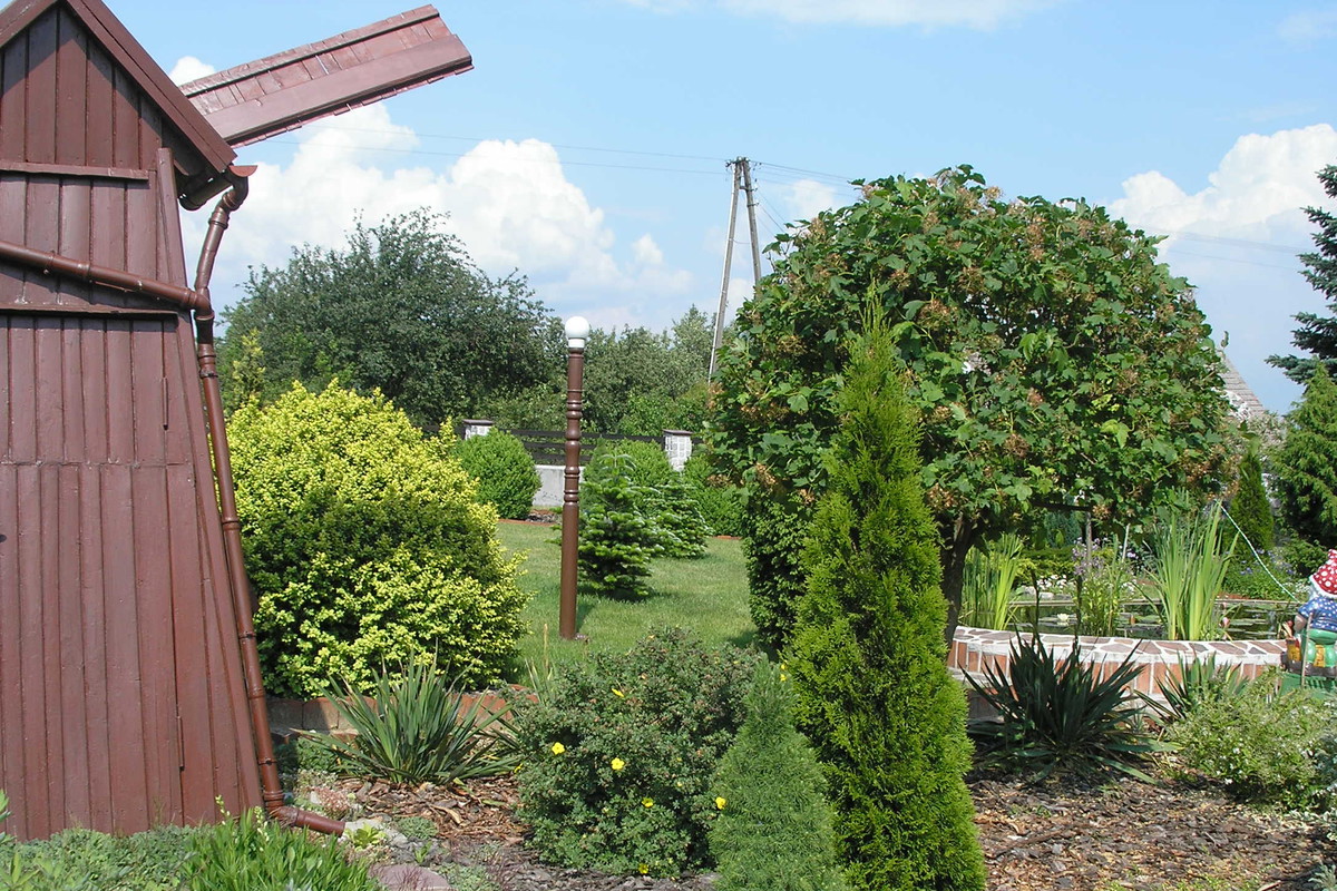 Pompa powietrzna w wiatraku dotlenia wodę w oczku wodnym.