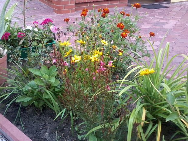 Rabata z kwitnącymi roślinami cieszy najbardziej