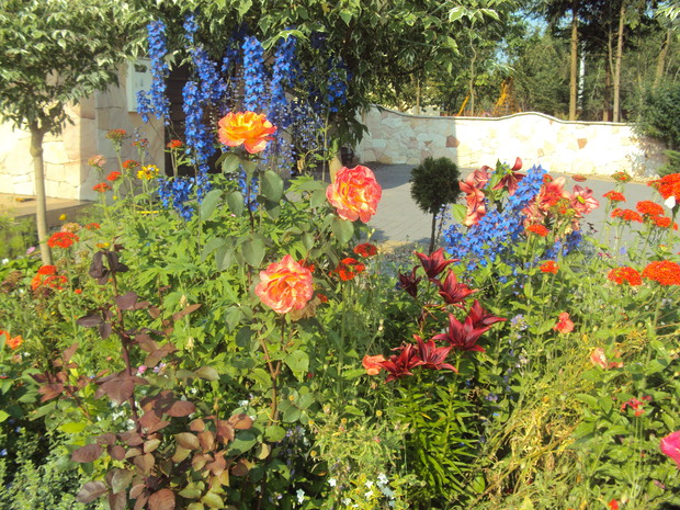 Róże jak zawsze świetnie się prezentują.