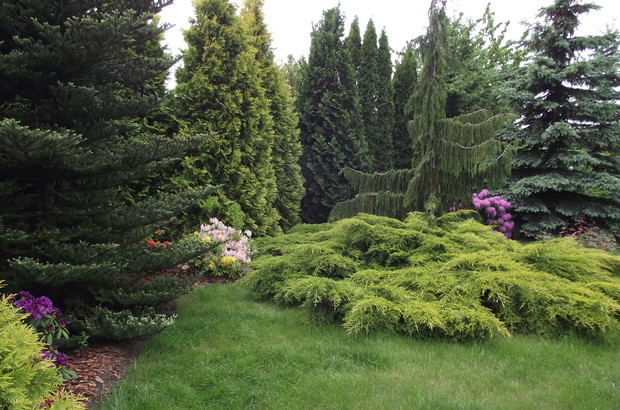 Różnobarwne zakątki wśród różnorodnych odcieni zieleni.