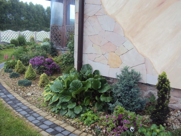 Ścieżka prowadząca na ogród.