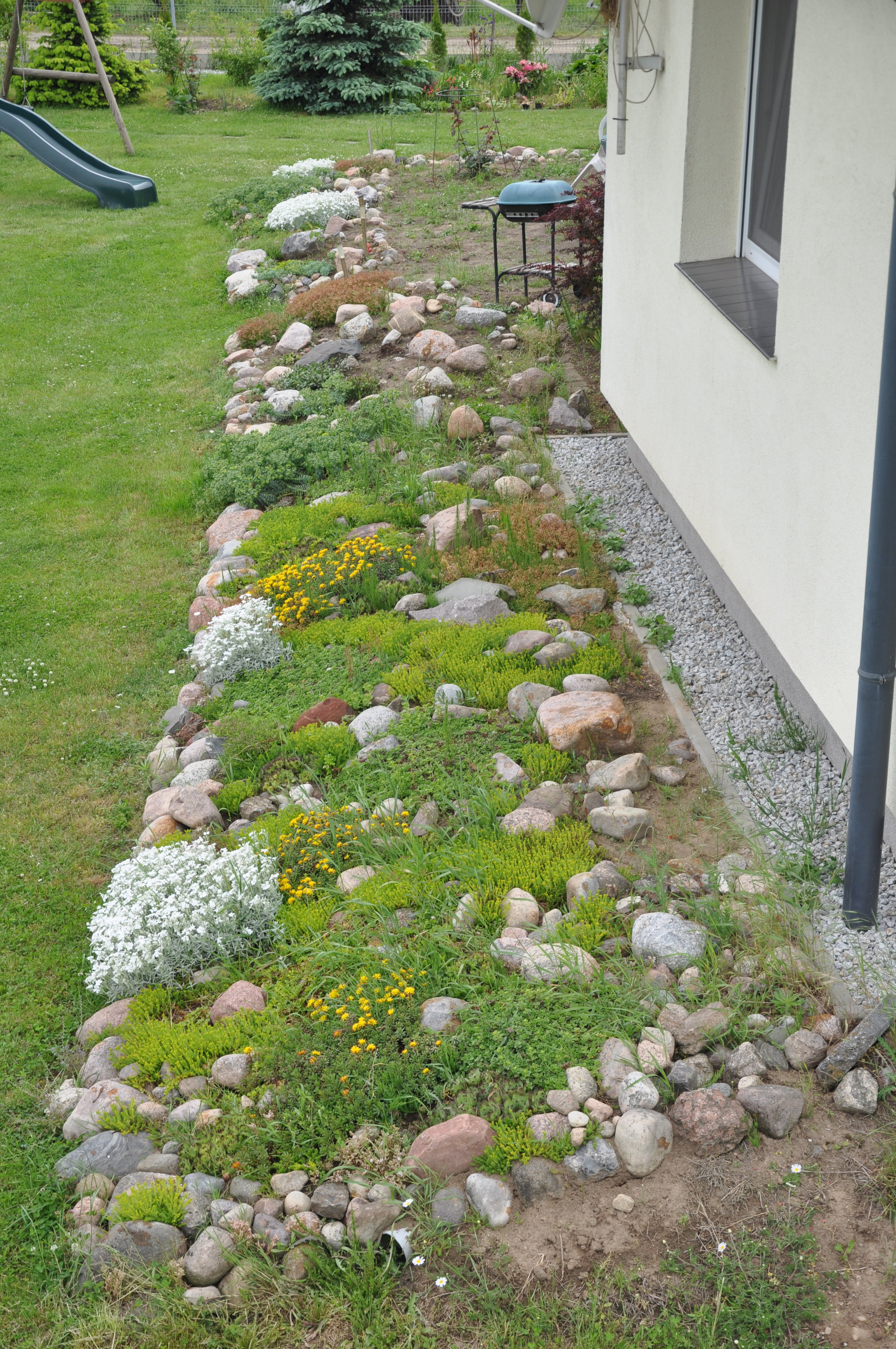 Skalniak od strony południowej domu.