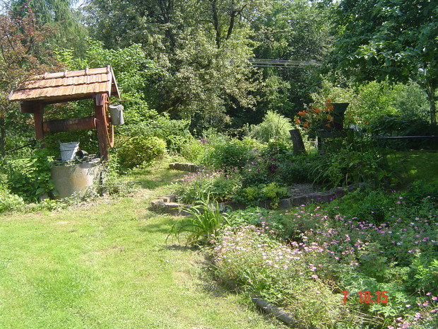 Stara studnia- królestwo jaszczurki zwinki 