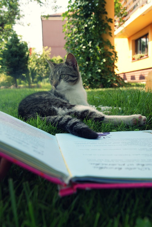 ... tam, gdzie znajdzie się miejsce dla każdego.