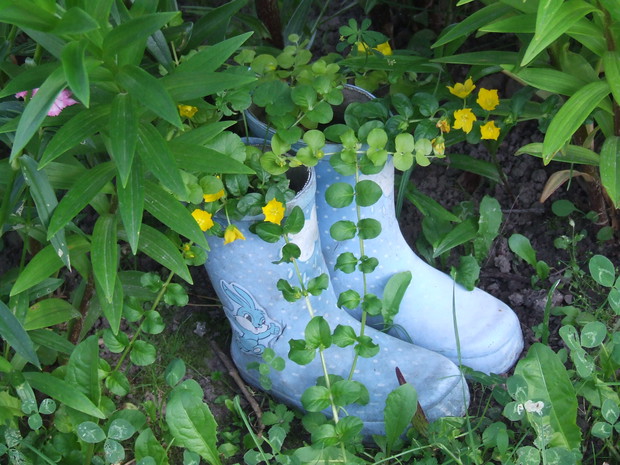 To co zrobimy synku z tymi dziurawymi kaloszkami? :-) 