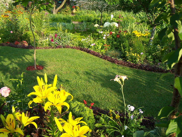 Trawnik Wśród Bylin