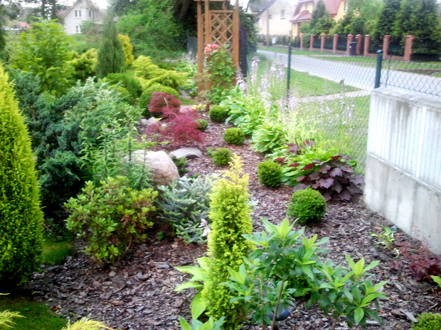 W moim ogrodzie panuje artystyczny nieład