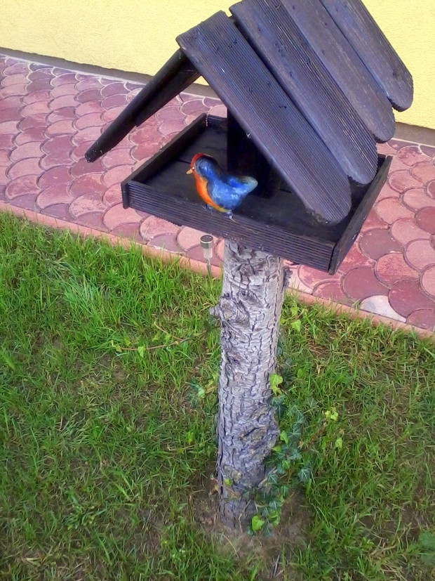 W moim ogrodzie znajdzie się miejsce dla każdego gościa...