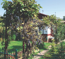 W naszym ogrodzie każdy znajdzie chwilę wytchnienia od codziennych obowiązków.