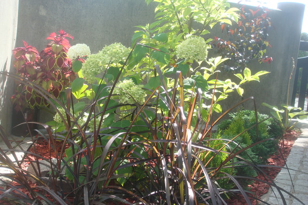 wejście do domu po metamorfozie