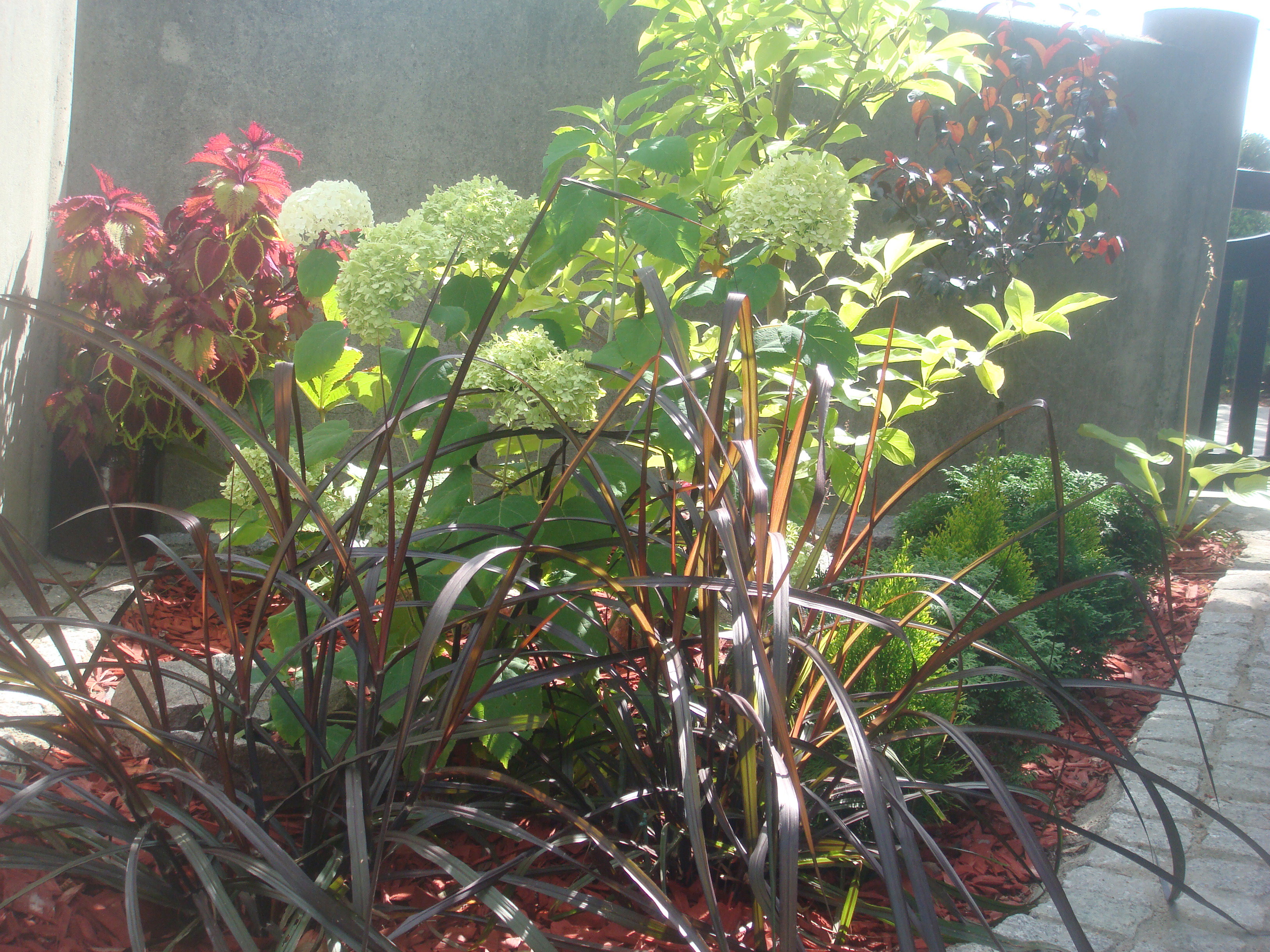 wejście do domu po metamorfozie