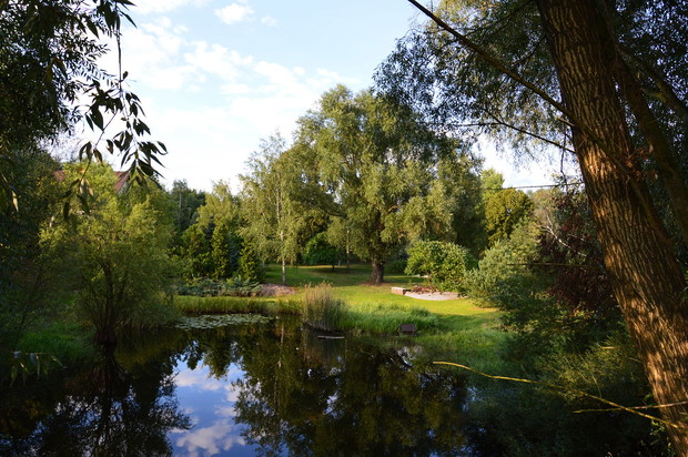 Widok na staw i ogród