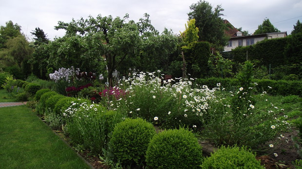 widok od kompostownika na warzywnik 