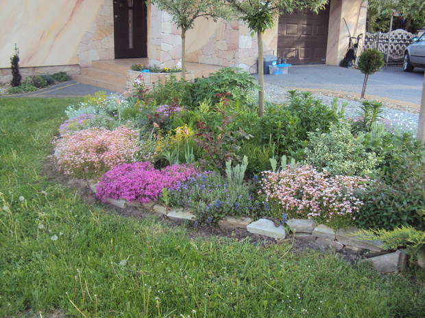 Wiosna... wszystko kwitnie i budzi się do życia