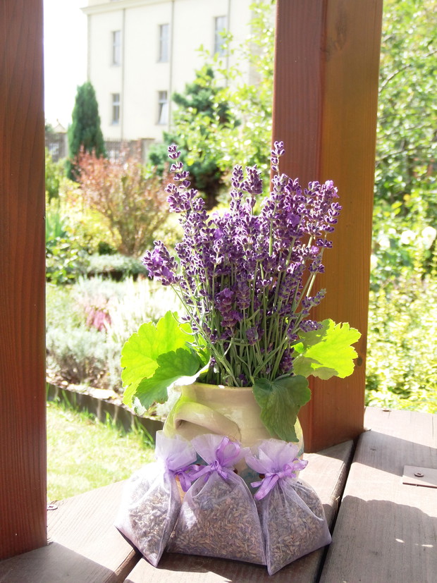 ....woreczki z zasuszonymi...doskonałe do szafy ;)