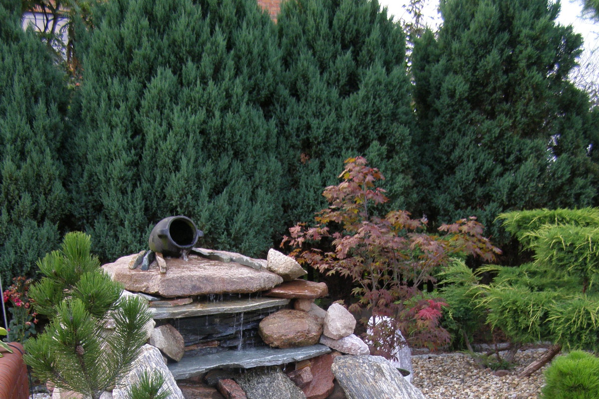 Wraz z mężem poświęciliśmy każdą wolną chwilę by zbudować to cudeńko. Zajęło nam to około 3 tygodni, ale trud się opłacił:)