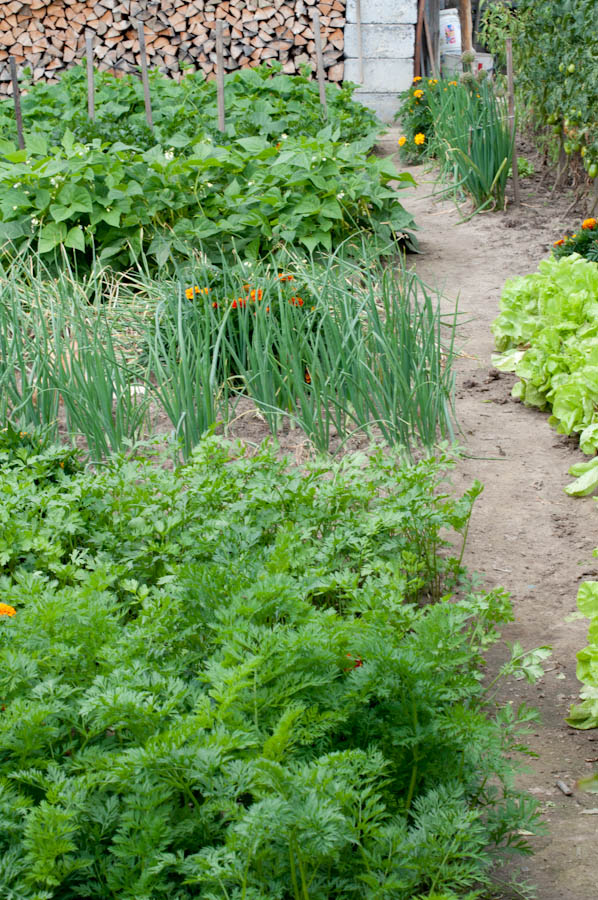 wszystko ma swoje miejsce