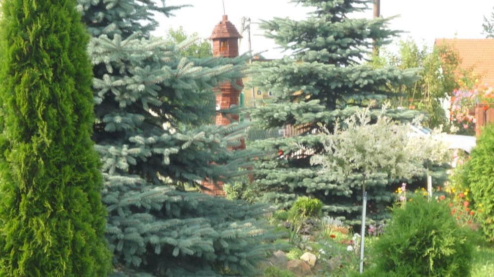 „Z dokładnie przyciętych na wymiar kantówek tato zbudował świecącą latarenkę”. 