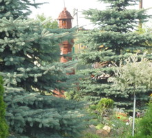 „Z dokładnie przyciętych na wymiar kantówek tato zbudował świecącą latarenkę”.