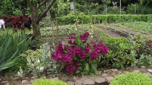 zapraszam do warzywnika