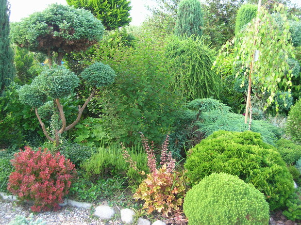 Zielone wojowniki wyszły z pod moich nożyc 