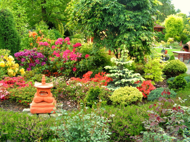 azalie i rododendrony