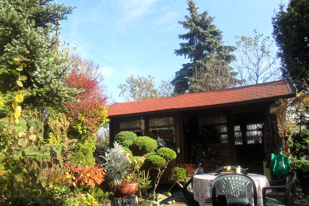 barwy jesieni tez dodawaja ogrodkowi uroku