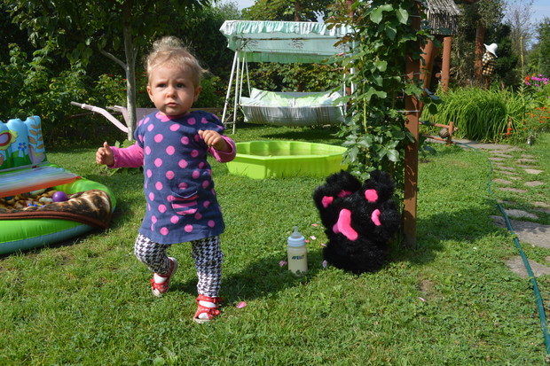 Buzia Mai się rumieni gdy w letniej porze biega wśród zieleni.