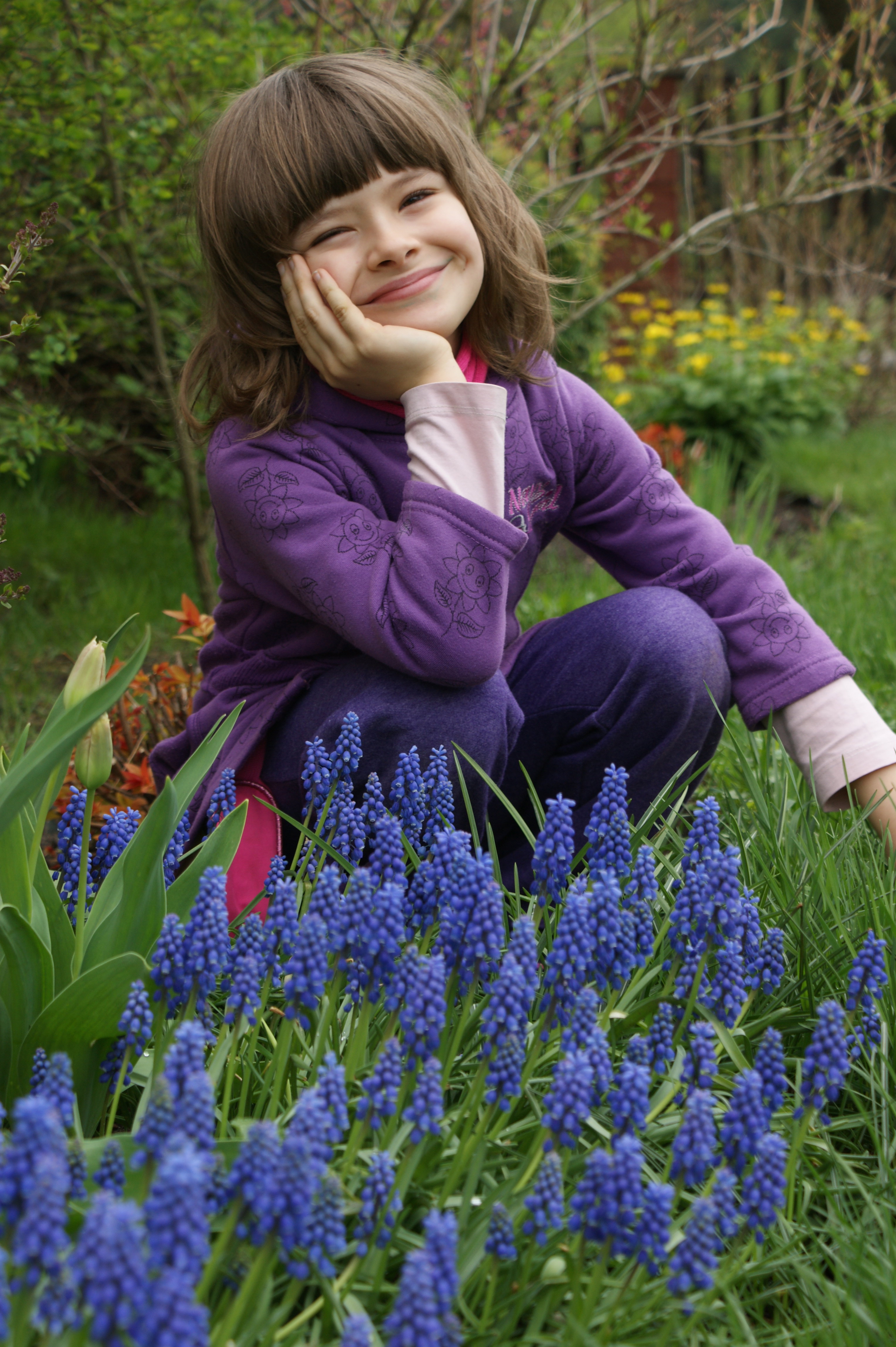 Co roku cieszymy się z przepięknej purpury szafirków które aż kuszą by kucnąć i sprawdzić czy pachną a przy okazji zrobić zdjęcie tak jak uśmiechnięta Daria:) 