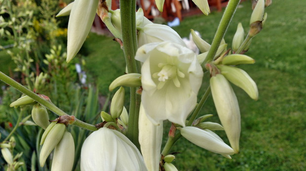 Czy nie są ciekawe i takie inne ?
