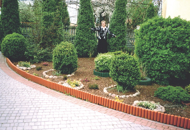 Drzewa i krzewy podsypuję kompostem lub popiołem drzewnym.