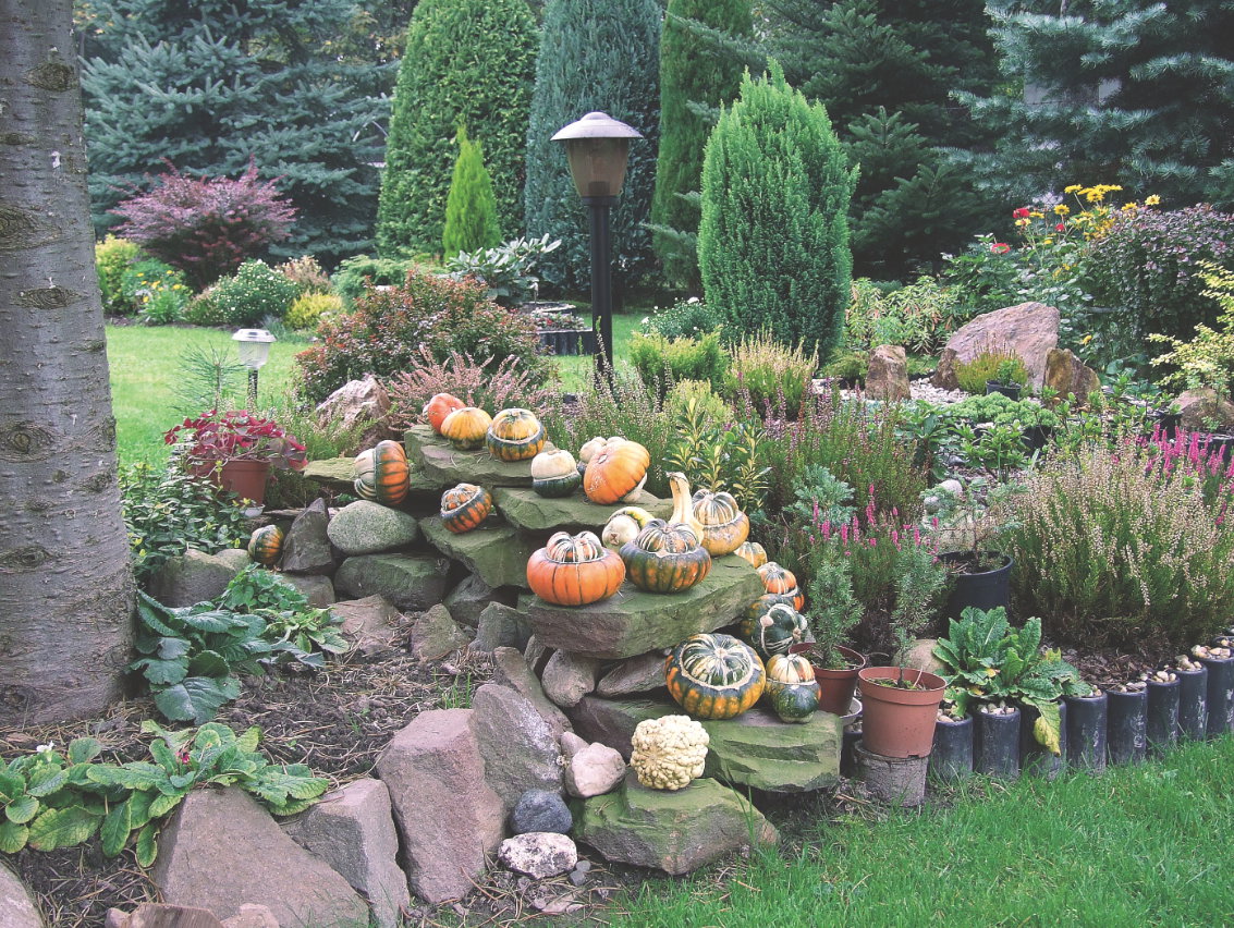 Dynia ozdobna 'Sułtański turban' Cucurbita pepo potrafi mieć naprawdę oryginalne kształty owoców.
